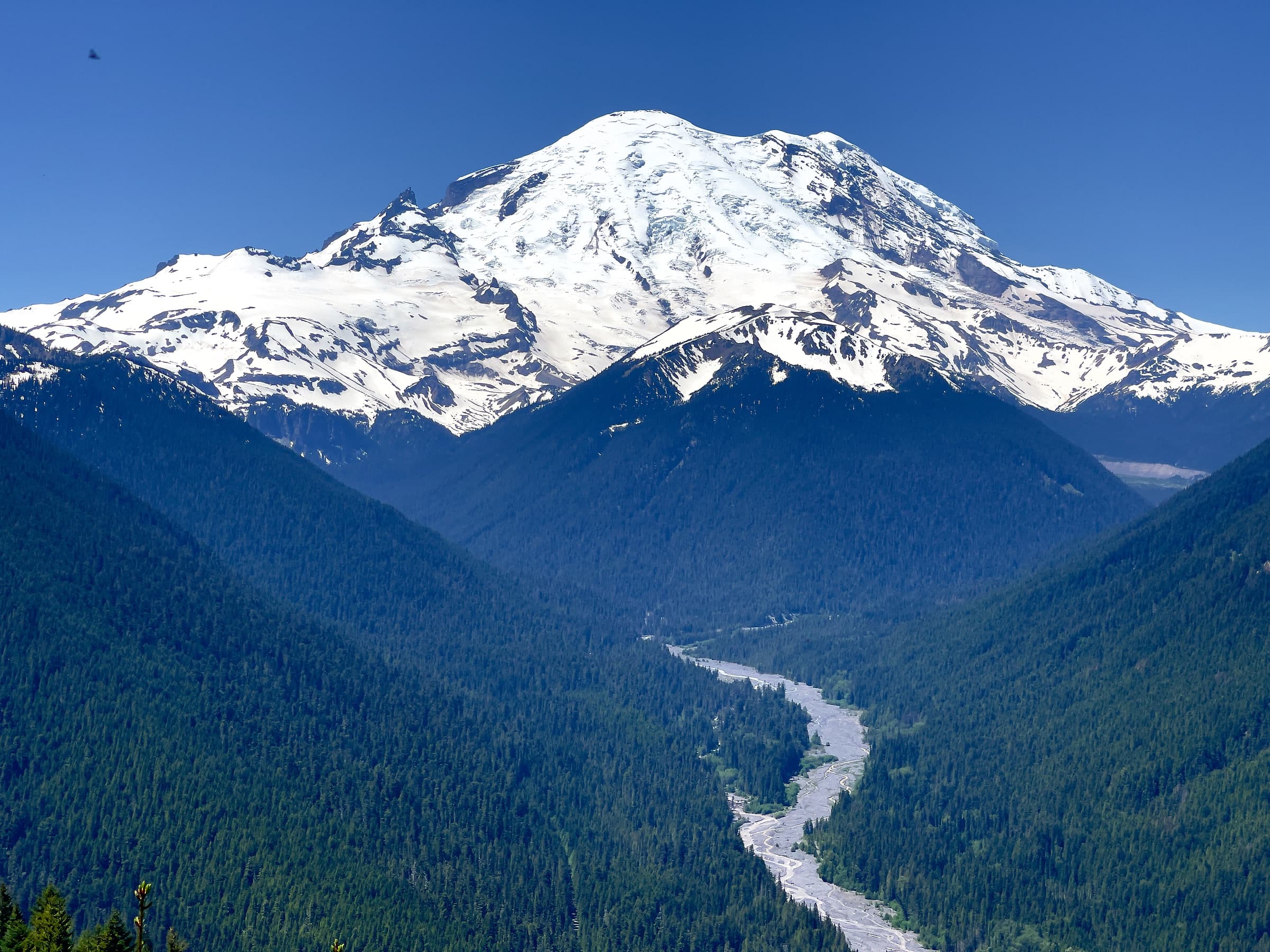 Mount Rainier above a forested river valley in the Cascades